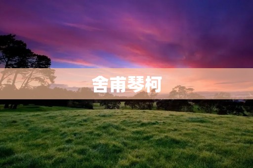 舍甫琴柯:探索音乐与心灵的奇妙之旅 舍甫琴柯:探索音乐与心灵的奇妙之旅