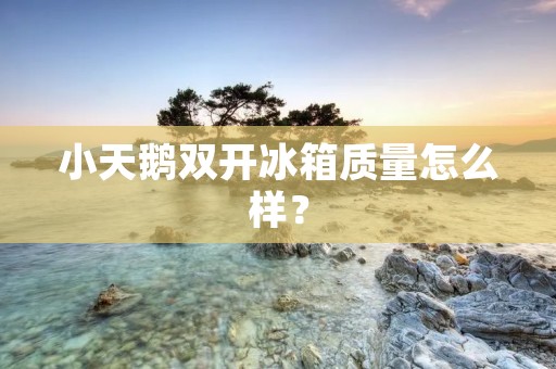 小天鹅**冰箱质量怎么样？