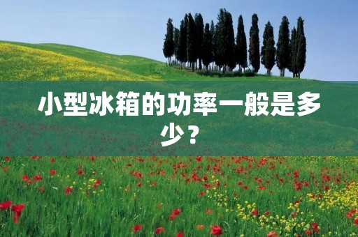小型冰箱的功率一般是多少? 小型冰箱的功率一般是多少?