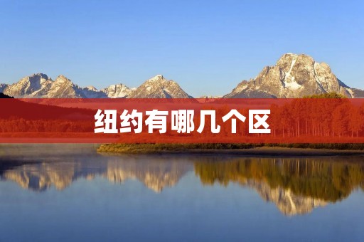 纽约有哪几个区