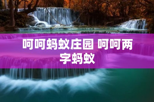 呵呵蚂蚁庄园 呵呵两字蚂蚁 呵呵蚂蚁庄园 呵呵两字蚂蚁