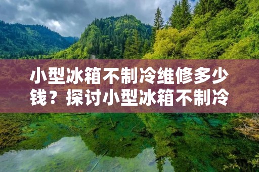 小型冰箱不制冷维修多少钱？探讨小型冰箱不制冷问题的价格与解决方案
