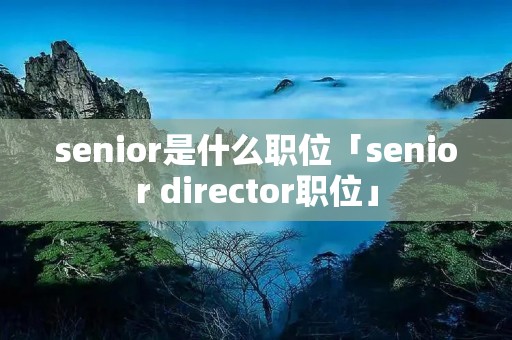senior是什么职位「senior director职位」