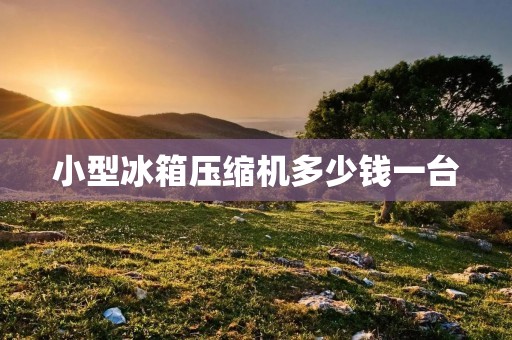 小型冰箱压缩机多少钱一台