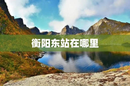 衡阳东站在哪里