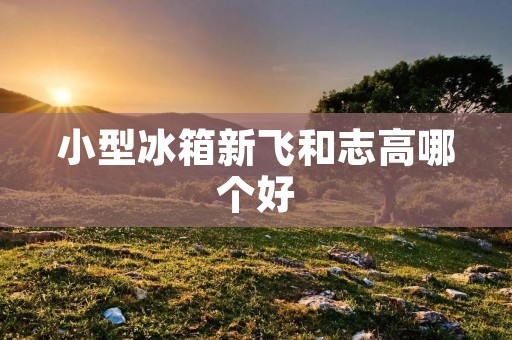 小型冰箱新飞和志高哪个好：详细比较与分析