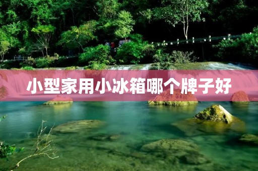 小型家用小冰箱哪个牌子好