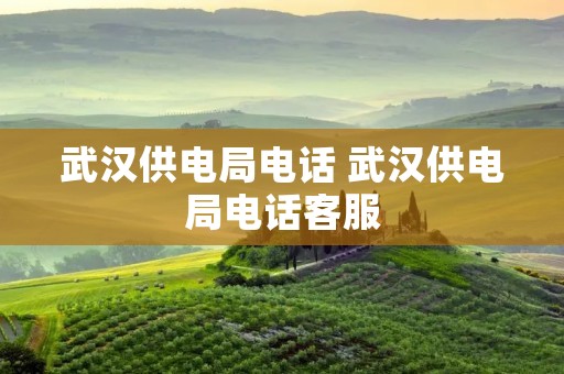 武汉供电局电话 武汉供电局电话客服