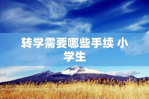 转学需要哪些手续 小学生