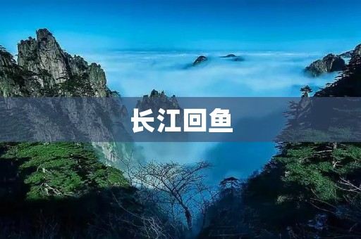长江回鱼:生态保护的重要使者 长江回鱼:生态保护的重要使者