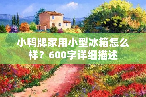小鸭牌家用小型冰箱怎么样?600字详细描述 小鸭牌家用小型冰箱怎么样?600字详细描述