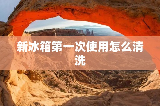 新冰箱第一次使用怎么清洗：详细指南