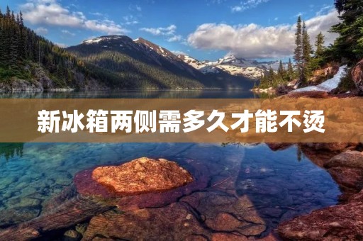 新冰箱两侧需多久才能不烫：详细解析