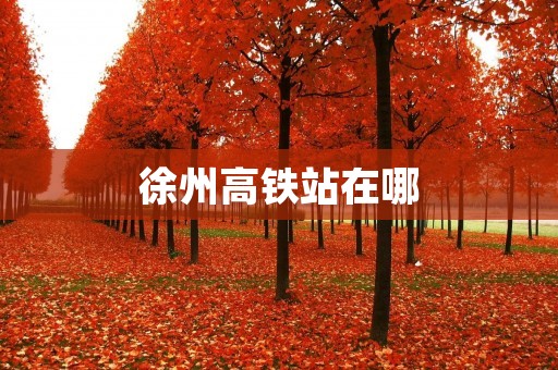 徐州高铁站在哪 徐州高铁站在哪