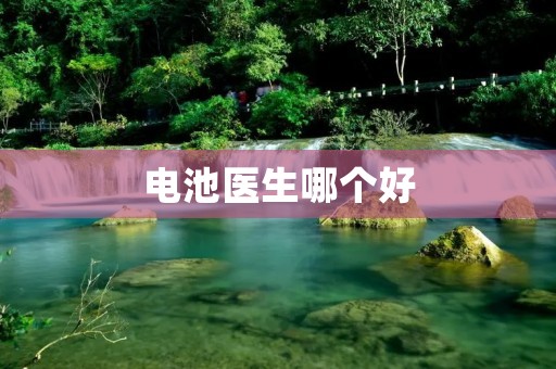 电池医生哪个好 电池医生哪个好
