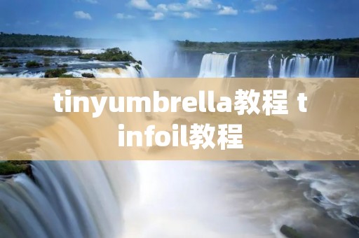 tinyumbrella教程 tinfoil教程