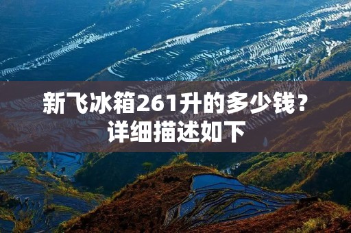 新飞冰箱261升的多少钱？详细描述如下：
