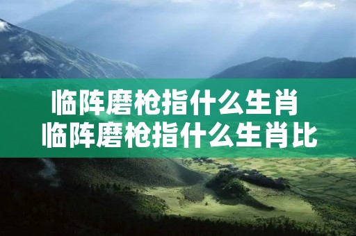 临阵磨枪指什么生肖 临阵磨枪指什么生肖比较合适 临阵磨枪指什么生肖 临阵磨枪指什么生肖比较合适