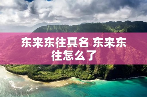 东来东往真名 东来东往怎么了 东来东往真名 东来东往怎么了