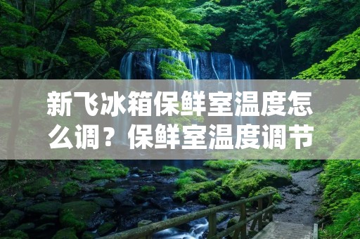 新飞冰箱保鲜室温度怎么调?保鲜室温度调节方法详解