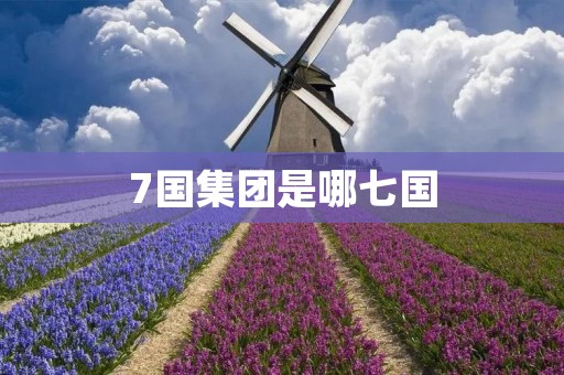 7国集团是哪七国 7国集团是哪七国