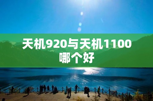天机920与天机1100哪个好