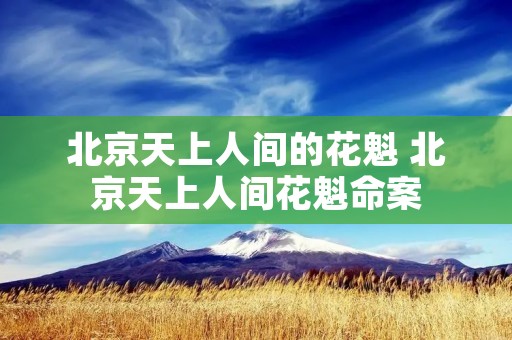 北京天上人间的花魁 北京天上人间花魁命案