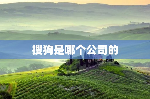 搜狗是哪个公司的