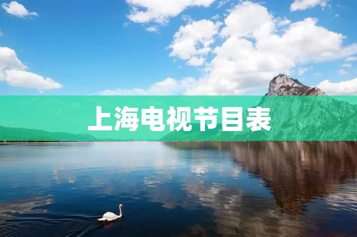 上海电视节目表：让你随时掌握最新节目信息
