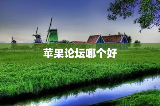苹果论坛哪个好