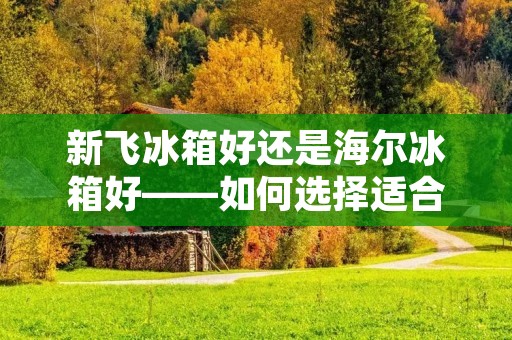 新飞冰箱好还是海尔冰箱好——如何选择适合你的冰箱 新飞冰箱好还是海尔冰箱好——如何选择适合你的冰箱