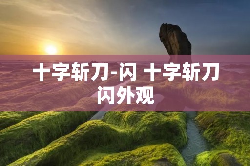 十字斩刀-闪 十字斩刀闪外观