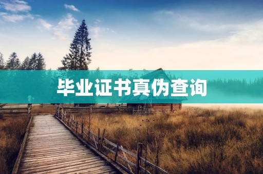 毕业证书真伪查询:保障求职者权益的重要举措