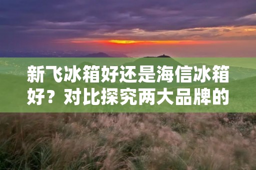 新飞冰箱好还是海信冰箱好?对比探究两大品牌的优势与劣势 新飞冰箱好还是海信冰箱好?对比探究两大品牌的优势与劣势