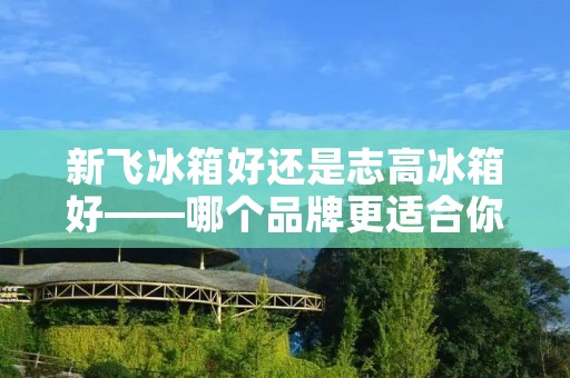 新飞冰箱好还是志高冰箱好——哪个品牌更适合你？