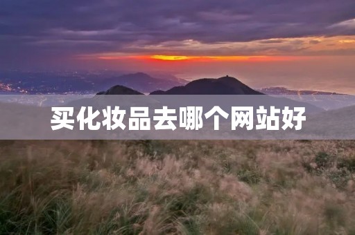 买化妆品去哪个网站好