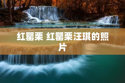 红罂栗 红罂栗汪琪的照片 红罂栗 红罂栗汪琪的照片