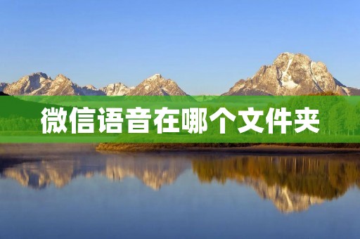 微信语音在哪个文件夹