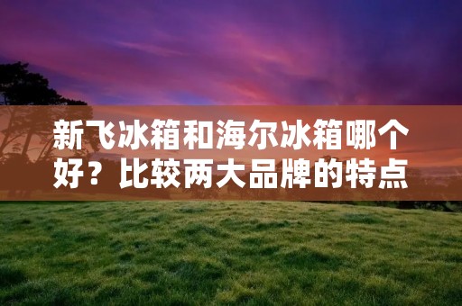 新飞冰箱和海尔冰箱哪个好?比较两大品牌的特点与优势 新飞冰箱和海尔冰箱哪个好?比较两大品牌的特点与优势