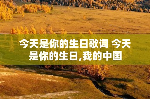 今天是你的生日歌词 今天是你的生日,我的中国
