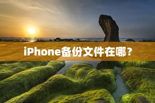iPhone备份文件在哪? iPhone备份文件在哪?