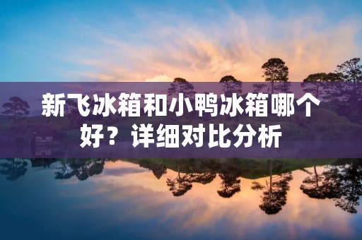 新飞冰箱和小鸭冰箱哪个好?详细对比分析 新飞冰箱和小鸭冰箱哪个好?详细对比分析