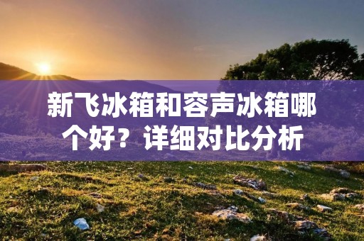 新飞冰箱和容声冰箱哪个好?详细对比分析 新飞冰箱和容声冰箱哪个好?详细对比分析