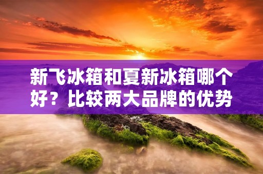 新飞冰箱和夏新冰箱哪个好?比较两大品牌的优势与特点 新飞冰箱和夏新冰箱哪个好?比较两大品牌的优势与特点