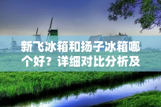 新飞冰箱和扬子冰箱哪个好？详细对比分析及评价
