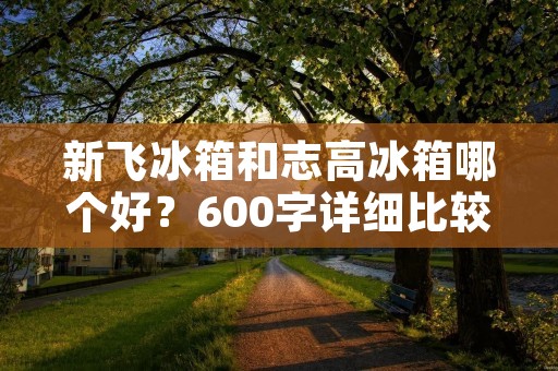 新飞冰箱和志高冰箱哪个好？600字详细比较