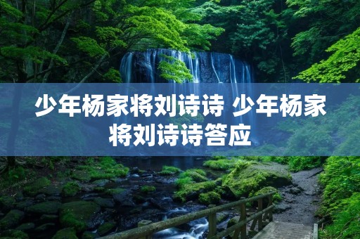 少年杨家将刘诗诗 少年杨家将刘诗诗答应