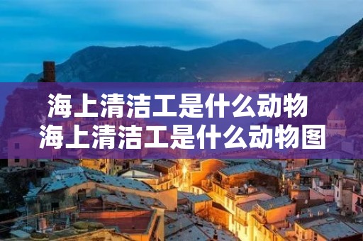 海上清洁工是什么动物 海上清洁工是什么动物图片 海上清洁工是什么动物 海上清洁工是什么动物图片