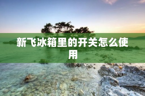 新飞冰箱里的开关怎么使用 新飞冰箱里的开关怎么使用