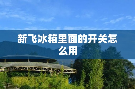 新飞冰箱里面的开关怎么用